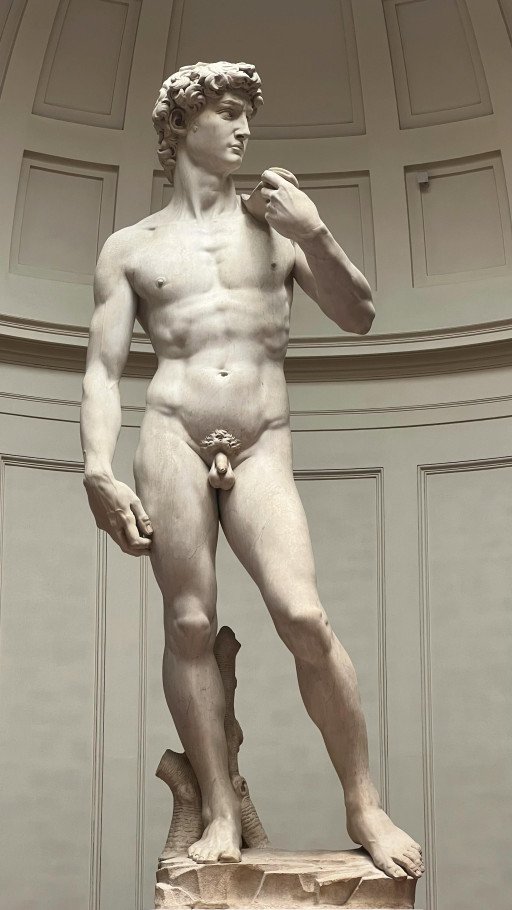 Unveiling the Mastery Behind Michelangelo's David Artwork